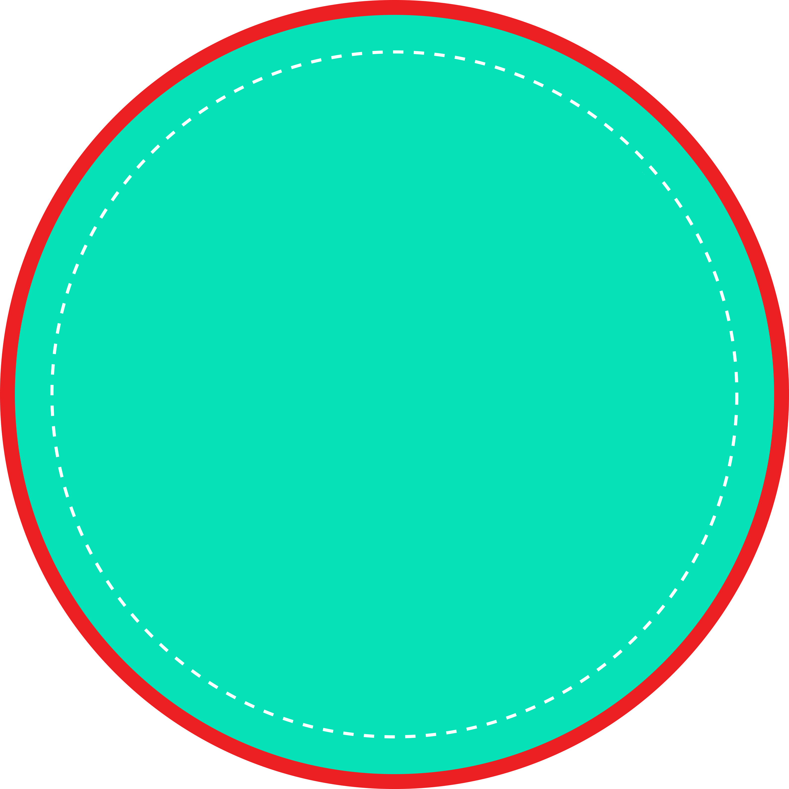 Actual DecoPlate production template showing the red bleed ring and dashed white border placement line.